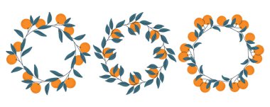 Üç Turuncu Meyve ve Mavi Yaprak Çelenk vektörünün koleksiyonu