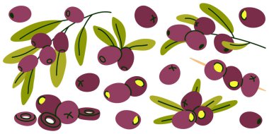 Siyah zeytin vektör elementleri, dallar ve aperatifler.