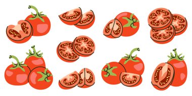 Taze kırmızı domates dilimleri, yarımlar ve tüm sebze vektör çizimleri.