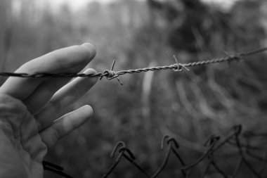 Dikenli teller kapansın. Özgürlük ve özgürlük eksikliği.