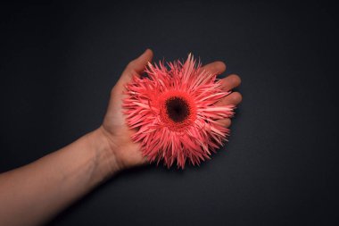 Siyah arka planda pembe çiçekli bir el..