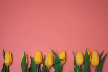 Pembe arkaplanda sarı laleler, metin için boş alan.