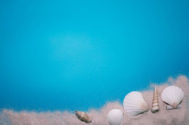 Mavi arka planda deniz kabukları ve kumsal kumu, metin için boş alan var..