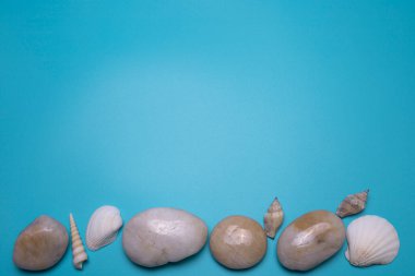 Mavi zemin üzerinde deniz kabukları ve küçük taşlar, metin için boş alan.