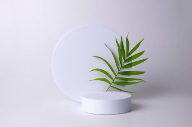 Beyaz arka planda tropikal yapraklı beyaz podyum. Ürün podyumu, kozmetik sunumu. Yaratıcı bir model. Güzellik ürünleri için kaldırım taşı veya platform.