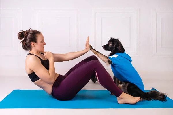 Deporte con un perro. Muchacha atractiva haciendo ejercicio en la alfombra de fitness azul con su perro. Mujer atlética haciendo ejercicio. Fuerza y motivación, deporte y estilo de vida saludable. Aptitud femenina. —  Fotos de Stock