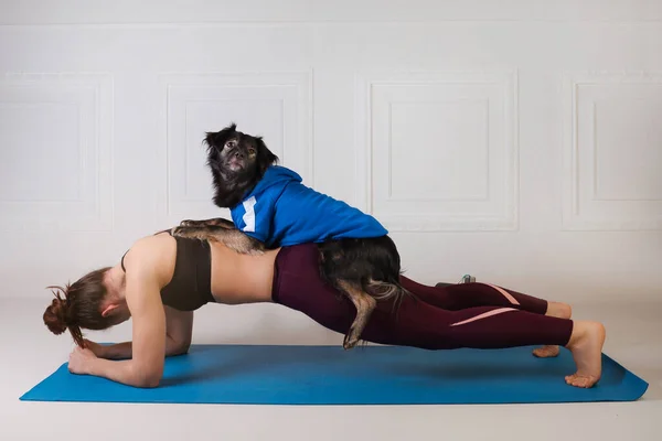 Sport mit Hund. Attraktives Mädchen, das mit ihrem Hund auf der blauen Fitnessmatte trainiert. Sportliche Frau beim Sport. Kraft und Motivation, Sport und gesunder Lebensstil. Weibliche Fitness. — Stockfoto