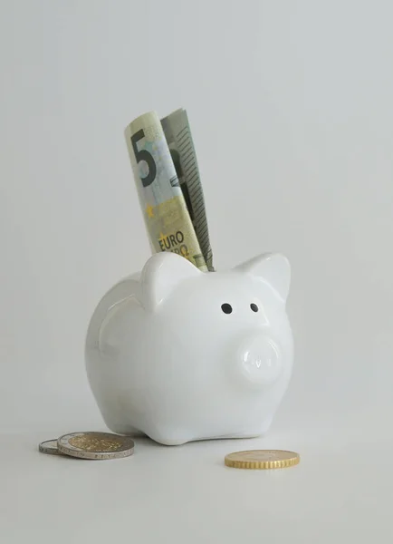 Piggy bank for saving money. Wealth, budget, investment, finance concept. Money box, piggybank on the white background.