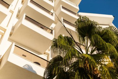 Modern bir binada, güneş ışığında sallanan palmiye ağaçlarını net bir şekilde gören birden fazla balkon bulunur. Parlak mavi gökyüzü sakin atmosfere katılır ve tropikal bir ortam yaratır..