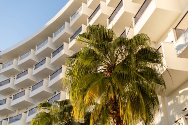 Modern bir otel binasında parlak mavi gökyüzünün altında parlak palmiye ağaçları bulunan parlak çizgiler ve çoklu balkonlar yer almaktadır. Bu sahne rahatlatıcı, güneşli bir atmosfer yakalar..