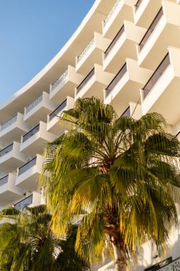 Çağdaş bir otelde kıvrımlı cepheli birden fazla balkon bulunur. Bereketli palmiye ağaçları sahneyi çevreleyerek parlak bir gökyüzüne karşı tropikal bir atmosfer yaratıyor..