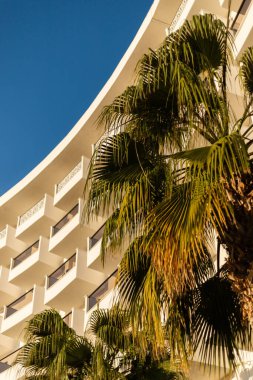 Parlak, güneşli bir ortamda, bereketli palmiye ağaçları kıvrımlı balkonları olan çağdaş bir otel binasını çerçeveliyor. Açık mavi gökyüzü, sahnenin gevşek atmosferine ekleniyor..