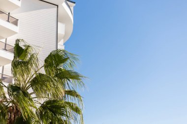 Güneşli bir sahnede modern beyaz bir binanın yanında canlı palmiye ağaçları yer alır. Açık mavi gökyüzü rahat bir atmosfer yaratıyor. Açık havanın tadını çıkarmak için mükemmel..