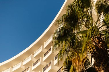 Birçok balkonu olan modern bir binanın yanında bir palmiye ağacı duruyor. Güneş parlıyor ve gökyüzü açık. Sahne, tropikal bir yerde sıcak bir günü yakalar..