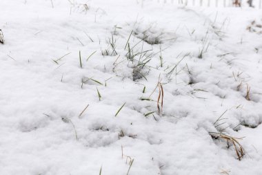 Bir bahçedeki kar örtüleri, beyaz bir manzarayla birlikte soğuk hava belirtileri gösteriyor. Sahne, banliyö ortamında bir kış gününün dinginliğini yakalıyor..