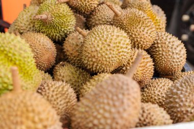 Güneydoğu Asya 'da bir pazarda Durian meyveleri yığılıyor. Kahverengi ve dikenli dış görünüş taze ürünlerin satışa hazır olduğunu gösteriyor. Müşteriler kabinlere göz atıyor.