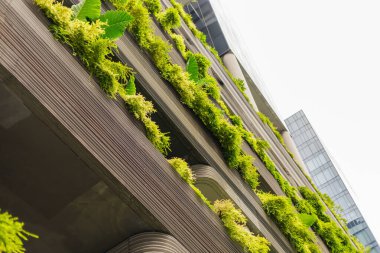 Bitkiler, doğa ve mimarinin bir karışımını sergileyerek bir binanın yanında büyürler. Yeşillik, kentsel alana yaşam ekleyerek çeşitli seviyeleri kapsıyor..