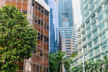Şehir ortamında cam ve metal cepheli uzun binalar görülüyor. Yeşiller yemyeşil ağaçlar ve bitkiler cadde boyunca uzanır ve şehir hayatı ile doğanın bir karışımını oluşturur..