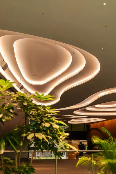 Tavanda modern aydınlatma armatürleri ve yeşillikler bulunur. Ayarlar, doğal ışık ve çağdaş mimari ile dolu açık bir alanı gösteriyor..