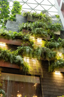 Bitkiler cam çatılı bir binanın içindeki duvarı kaplıyorlar. Eğreltiotları yapının üzerinde yeşil bir görüntü oluştururken doğal ışık parlıyor. İnsanlar aşağıda yürür.