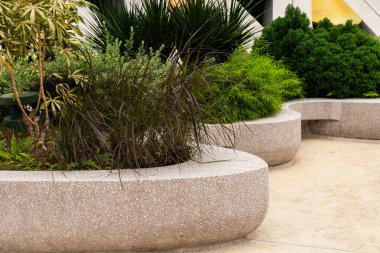 Bitkiler modern ekicilerde kavisli tasarımlarla yetişir. Sahne, kentsel alanda yeşillik karışımını gösteriyor. Güneş ışığı bitkilerin üzerinde parlıyor, şekillerini aydınlatıyor..