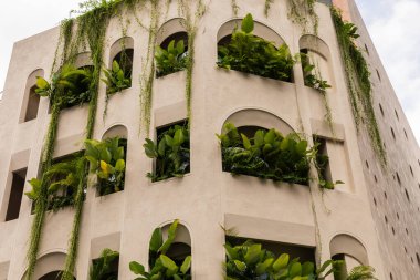 Bir şehir ortamında yeşillikle kaplı çok sayıda balkona sahip bir bina. Güneş ışığı her seviyedeki bitkileri aydınlatan yapıda parlıyor.