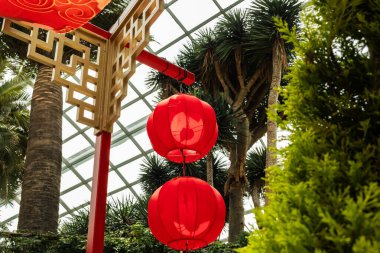 Bahçedeki dekoratif bir yapıdan iki kırmızı fener asılmış. Yeşillik onları çevrelemiş. Cam çatı, güneş ışığının manzarayı aydınlatmasına izin verir..