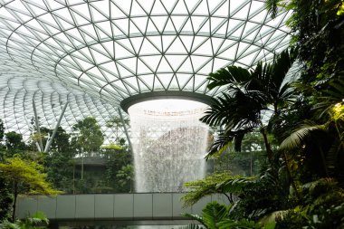 Singapur - 27 Ocak 2026: İnsanlar Singapur 'daki Jewel Changi Havalimanı' ndaki bahçelerde yürüyor. Cam bir kubbeden akan kapalı bir şelaleye hayranlar.