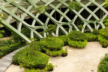 İnsanlar, eşsiz bir mimari tasarım altında düzgünce dizilmiş yeşil bitki ve ağaçların bulunduğu bir açık alanı ziyaret ediyorlar. Parlak güneş ışığı sahnede parlıyor.