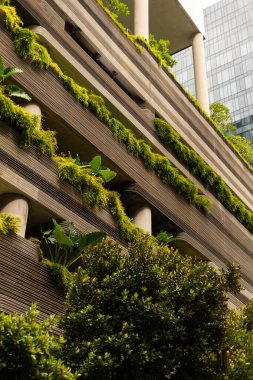 Bitkiler büyük pencereli bir binanın duvarlarında yetişir. Yapı, doğayla şehir yaşamını harmanlıyor. Arka planda açık gökyüzünün altında uzun binalar görülüyor..