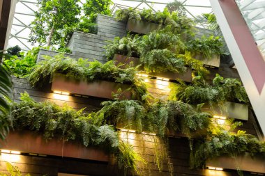 Dikey bahçe duvarı sıra sıra dizilmiş birçok yeşil bitkiyi gösterir. Parlak ışıklar bitkileri aydınlatır. Bina cam bir çatı ve modern bir tasarıma sahiptir. Camdan güneş ışığı geliyor..