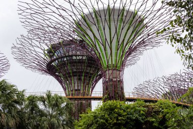 Singapur - 27 Ocak 2026: İnsanlar Singapur 'daki Supertree Grove' da geziniyor. Yüksek yapılar bahçenin üzerinde yükselir. Bölgeyi çevreleyen yeşillikler ile bulutlu bir gün.