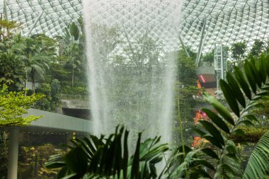 Singapur - 27 Ocak 2026: Singapur 'daki Jewel Changi Havalimanı' nda büyük bir kapalı şelalede çağlayan sular. Ziyaretçiler şelale bölgesindeki yemyeşil bitkilerin tadını çıkarıyorlar..