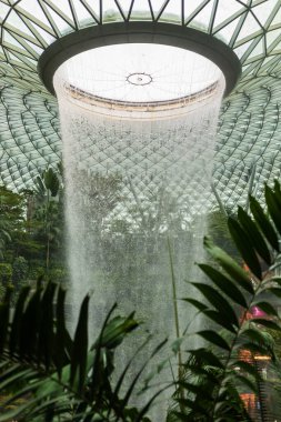 Singapur - 27 Ocak 2026 Singapur 'da eşsiz bir binanın çatısından çağlayan bir şelale. Bölgeyi çevreleyen yemyeşil bitkiler ortamın doğal havasını güçlendiriyor.