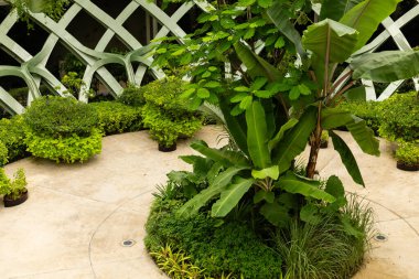 Dairesel bir bahçe, merkezi bir alan etrafında sıralanmış çeşitli yeşil bitkilere sahiptir. Kafes yapısı arka planda görünür. Bitkilerin üzerine güneş ışığı vuruyor..