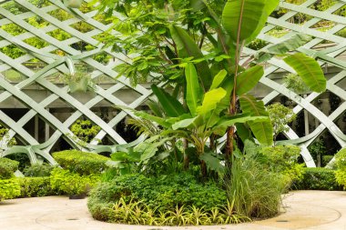 Bir bahçe, arkasında benzersiz, modern bir tasarım yapısı olan çeşitli yeşil bitkiler ve ağaçlara sahiptir. Güneş ışığı yaprakların üzerinde parlıyor, doğanın canlı renklerini gösteriyor..