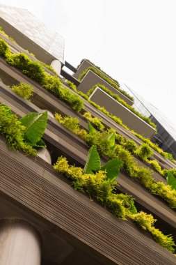 Yüksek bir binada dikey bir bahçe vardır. Yapı boyunca büyüyen bitkiler kentsel ortama yeşillik katıyor. Sahne, doğa ile şehir hayatının harmanlandığını gösteriyor..