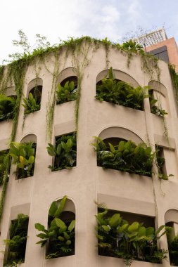 Yüksek bir binada çeşitli bitkilerle dolu balkonlar bulunur. Kenarlar boyunca büyüyen yeşillik, kentsel bir çevrede yaşayan doğa ve şehrin bir karışımını gösteriyor. Güneş ışığı yapıya vurur.