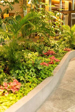 Yeşil bitkiler ve kırmızı yaprakların karışımına sahip bir bahçe alanı modern bir binanın içinde pürüzsüz bir yol boyunca görülür. Mekanın doğal ışığı ve temiz çizgileri var..