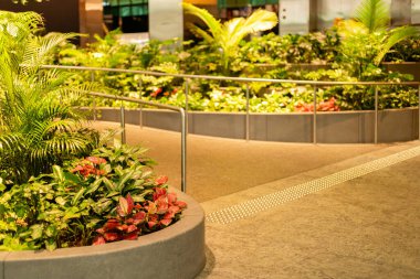 Bir patika, çeşitli bitki ve çiçeklerle dolu iyi planlanmış bir alandan geçiyor. Ayar, parlak ışıklar altında yeşil yapraklar ve renkli çiçeklerin karışımını gösteriyor..