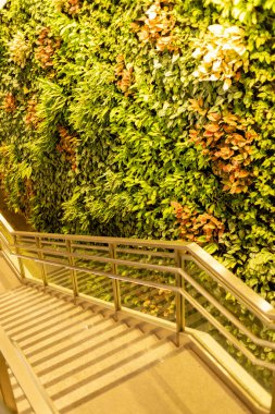 İnsanlar büyük bir bitki duvarı olan bir binanın içindeki merdivenleri kullanıyorlar. Merdivenler metal ve başka bir seviyeye iniyor. Duvarda güneş ışığı parlıyor, birçok rengi gösteriyor..