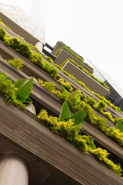 Yüksek bir binada dikey bir bahçe vardır. Yapı boyunca büyüyen bitkiler kentsel ortama yeşillik katıyor. Sahne, doğa ile şehir hayatının harmanlandığını gösteriyor..