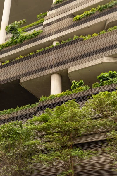 Bir binada çeşitli bitkiler ve yeşilliklerle kaplı beton seviyeler yer alıyor. Güneş ışığı doğanın ve kentsel tasarımın karışımını vurguluyor..