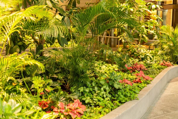 Farklı bitki ve çiçeklerle dolu, parlak, kapalı bir bahçe alanı. Sahnede yemyeşil ve canlı renkler yer alıyor. Bitkilerin üzerinde doğal güneş ışığı parlar..