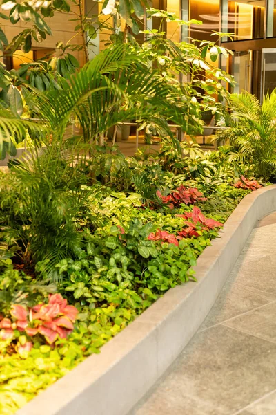 Yeşil bitkiler ve kırmızı yaprakların karışımına sahip bir bahçe alanı modern bir binanın içinde pürüzsüz bir yol boyunca görülür. Mekanın doğal ışığı ve temiz çizgileri var..