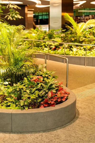 İnsanlar çeşitli bitkiler ve yeşilliklerle dolu büyük bir kapalı bahçede yürüyorlar. Parlak ışıklar parlıyor, kamusal alanda canlı bir atmosfer yaratıyor..