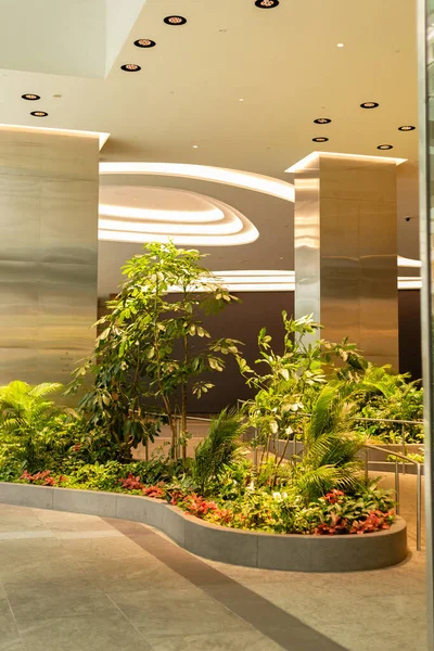 Bir grup yeşil bitki modern bir alışveriş merkezinde yer dolduruyor. Bölgenin tavanında parlak ışıklar var. Dekor, insanların yürüyüp manzaranın tadını çıkarmasıyla dolu..