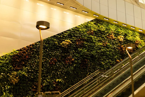 Modern bir binada çeşitli bitkilerle dolu yeşil bir duvar yer almaktadır. Yürüyen merdivenler ön planda görünür. Yumuşak ışıklar gece olduğu için bitkileri aydınlatır..