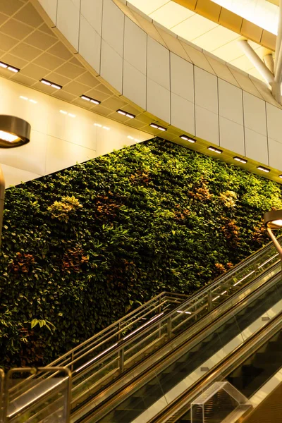 Yoğun bir havaalanında bitkilerle dolu yeşil bir duvar duruyor. Yürüyen merdivenler duvarın yanında görünüyor. Parlak ışıklar bölgeyi aydınlatıyor ve canlı bir atmosfer yaratıyor..