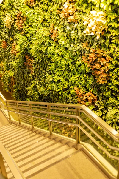 İnsanlar büyük bir bitki duvarı olan bir binanın içindeki merdivenleri kullanıyorlar. Merdivenler metal ve başka bir seviyeye iniyor. Duvarda güneş ışığı parlıyor, birçok rengi gösteriyor..